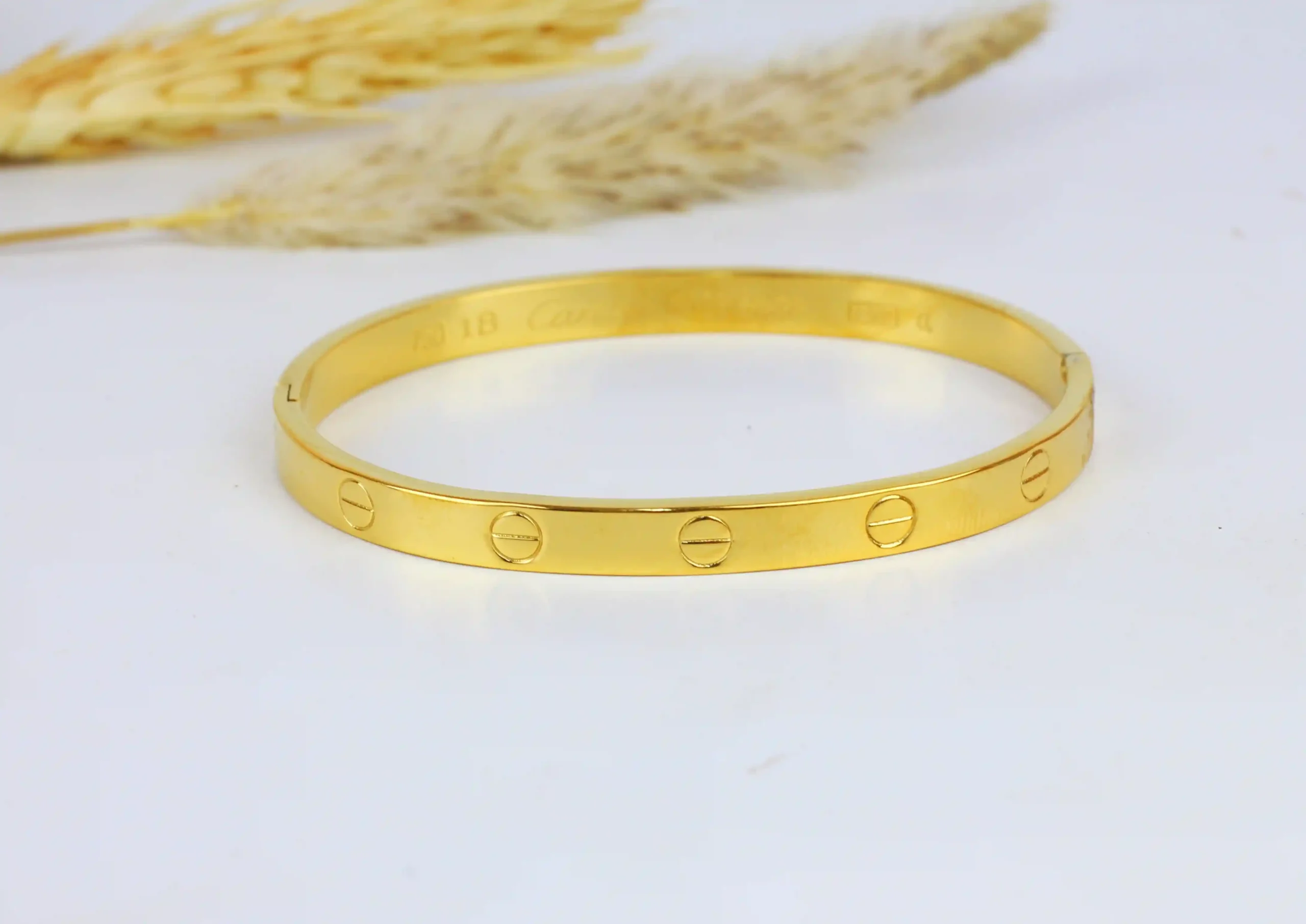 اسورة كارتير