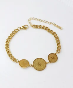 Alternative view of انسيال