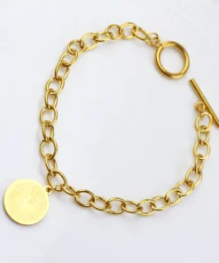 Alternative view of انسيال