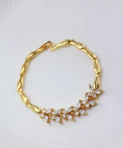 Alternative view of انسيال