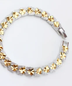 Alternative view of انسيال