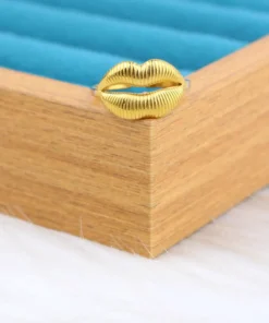 Alternative view of ring