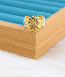 Alternative view of ring