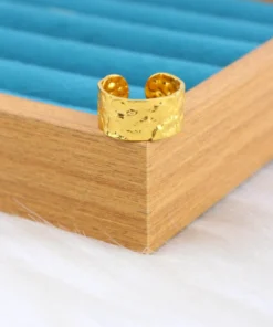 Alternative view of ring